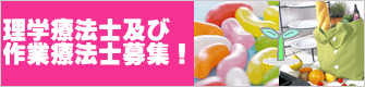 理学療法士及び 作業療法士募集!